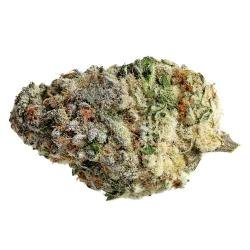 MAC 1 – THC 22%