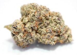 Purple Punch – THC 18%