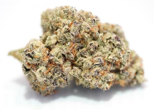 Purple Punch – THC 18%